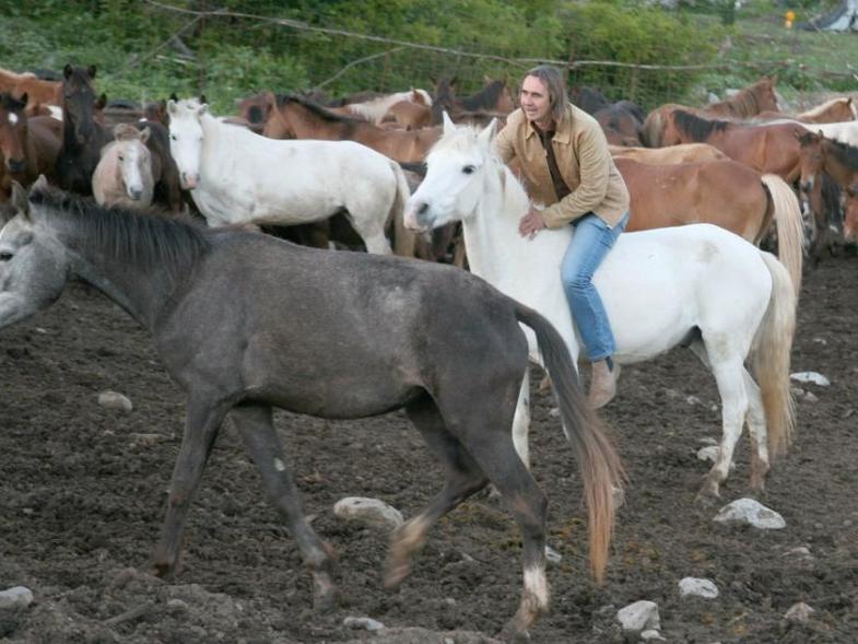 κοπάδι αλόγων1