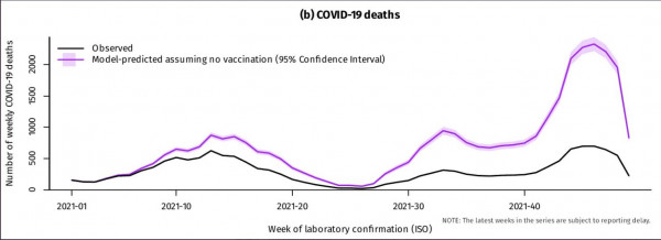 covid deaths
