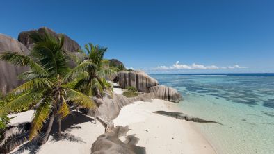la digue anse source d argent 01