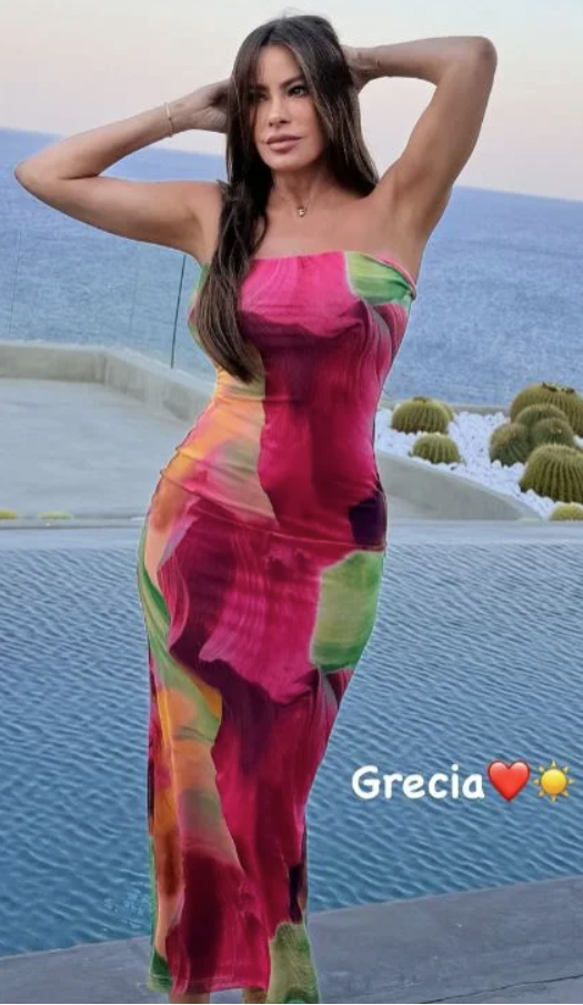 Vergara 1